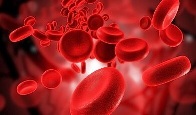 Opciones de dieta para bajar de peso según el tipo de sangre